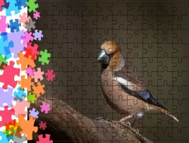 puzzle-tradycyjne-zwierzeta-ptak-producent