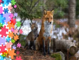 puzzle-tradycyjne-zwierzeta-lis-producent