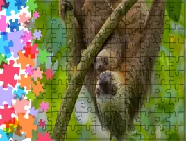 puzzle-tradycyjne-zwierzeta-leniwiec-producent