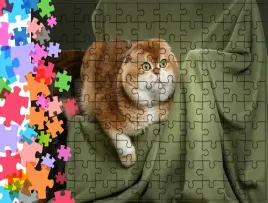 puzzle-tradycyjne-zwierzeta-kot-producent