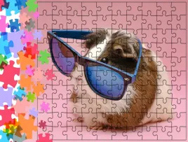 puzzle-tradycyjne-zwierzeta-swinka-morska-producent