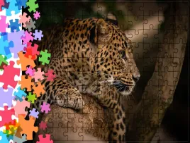 puzzle-tradycyjne-zwierzeta-lampart-producent