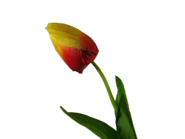 sztuczne-czerwono-zolte-tulipany-tulipan