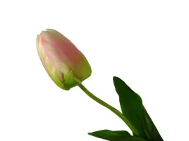 sztuczny-jasny-tulipan-pastelowy-tulipan
