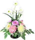 stroik-gerbera-liliowa-50x45-marka-bez-marki