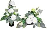 chryzantema-amarant-stroik-bukiet-h4-wysokosc-40-cm-kod-producenta-brak