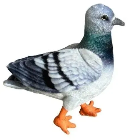 golab-niebieski-30cm