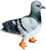 golab-niebieski-30cm-stan-nowy