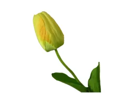 zolty-tulipan-wiosenny-wielkanocne-tulipany