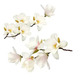 naklejki-na-sciane-meble-biale-kwiaty-krzew-biala-magnolia-naklejka