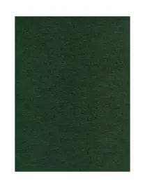 filc-dekoracyjny-2mm-arkusz-30x40-cm-zielony-40