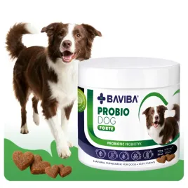 baviba-probiodog-forte-60szt-probiotyk-dla-psa-anty-swiad-skora-jelita