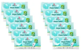 nawilzany-papier-toaletowy-opharm-toilet-wipes-12x48-szt