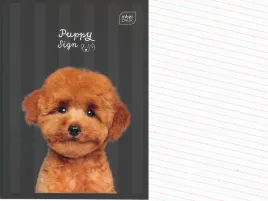 interdruk-zeszyt-a5-linia-dwukolorowa-16-kartek-w-linie-puppy-sign-pies