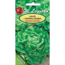 salata-maslowa-meraviglia-d-inverno-05g-zimujaca