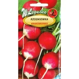 rzodkiewka-krakowianka-5g