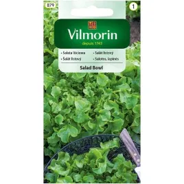salata-lisciowa-salad-bowl-1g
