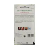 wilec-heavenly-blue-2g-styl-ogrod-wiejski-ogrod-nowoczesny-ogrod-srodziemnomorski