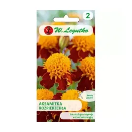 aksamitka-rozpierzchla-orange-flame-1g