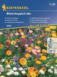 kiepenkerl-mieszanka-dywan-kwiatowy
