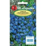lobelia-niebieska-02g