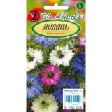 czarnuszka-damascenska-2g