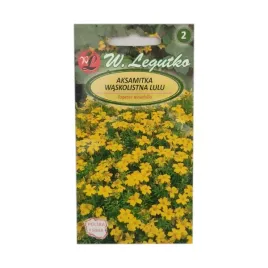 aksamitka-waskolistna-lulu-zolta-03g