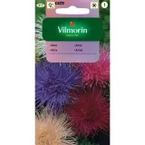 aster-igielkowy-mix-15-g