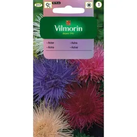aster-igielkowy-mix-15-g