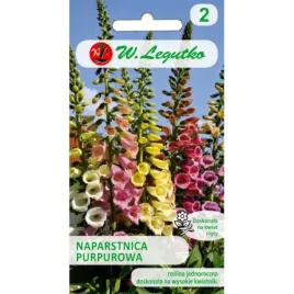 naparstnica-purpurowa-foxy-05g