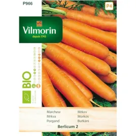 marchew-berlikum-2-5g-bio