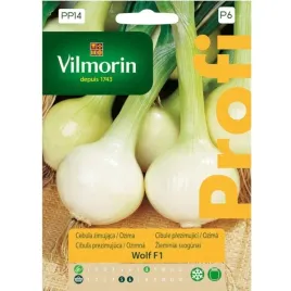 cebula-wolf-f1-2g-profi-zimujaca
