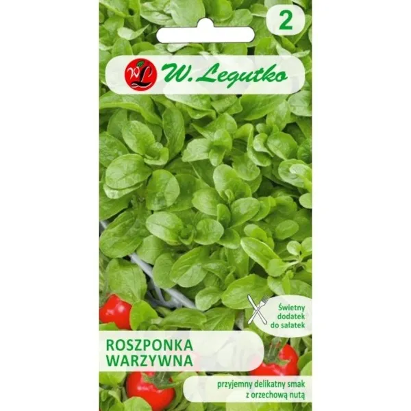 roszponka-warzywna-2g-rodzaj-rosliny-salata