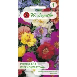 portulaka-wielkokwiatowa-05g
