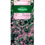 maciejka-4g-vilmorin