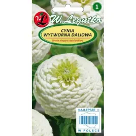 cynia-wytworna-daliowa-polar-bear-1g