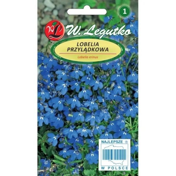 lobelia-niebieska-02g-rodzaj-rosliny-lobelie