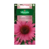 rudbekia-purpurowa-05g