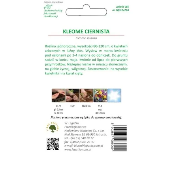 kleome-ciernista-05g-rodzaj-rosliny-mieszanka-roslin
