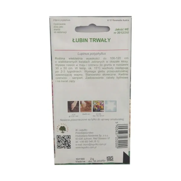 lubin-trwaly-russel-2g-rodzaj-rosliny-lubiny