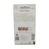 lubin-trwaly-russel-2g-rodzaj-rosliny-lubiny