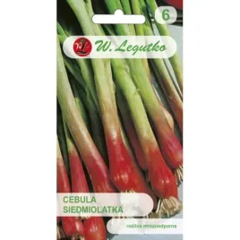 cebula-siedmiolatka-red-toga-2g