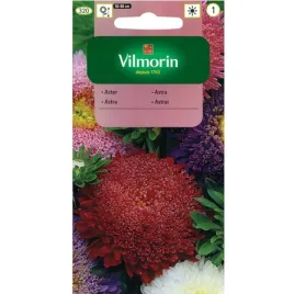 aster-chinski-ksiazecy-mix-1g
