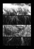nektar-tytul-nektar