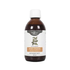 nanga-koci-pazur-vilcacora-wyciag-250ml-wsparcie-odpornosc-wzmocnienie