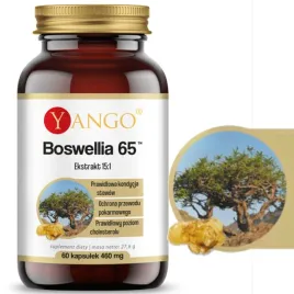 yango-boswellia-65-cholesterol-stawy-pamiec-przewod-pokarmowy-60kaps-460mg