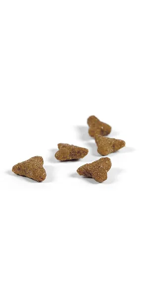 josera-cat-leger-2kg-marka-josera-wiek-zwierzecia-koty-dorosle