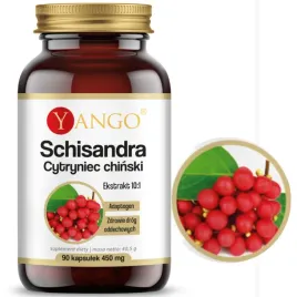 yango-schisandra-cytryniec-chinski-adaptogen-wsparcie-watroba-drogi-oddech