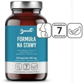 yango-panaseus-formula-na-stawy-50-kapsulek
