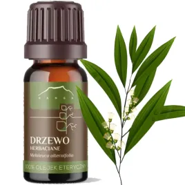 nanga-olejek-eteryczny-100percent-drzewo-herbaciane-10ml